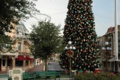 Disneyland Park Christmas Tree