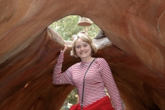 Disney's California Adventure Redwood Creek Challenge Trail