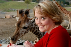 Giraffe Feeding San Diego Wild Animal Park