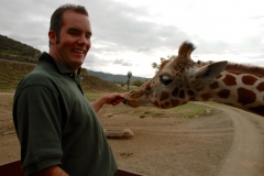 Giraffe Feeding San Diego Wild Animal Park