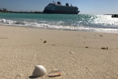 Disney Dream Castaway Cay Beach Shell and Ship