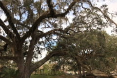 De Leon Springs State Park